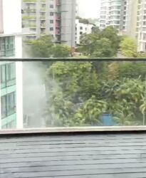 Parvis (D10), Condominium #563198831